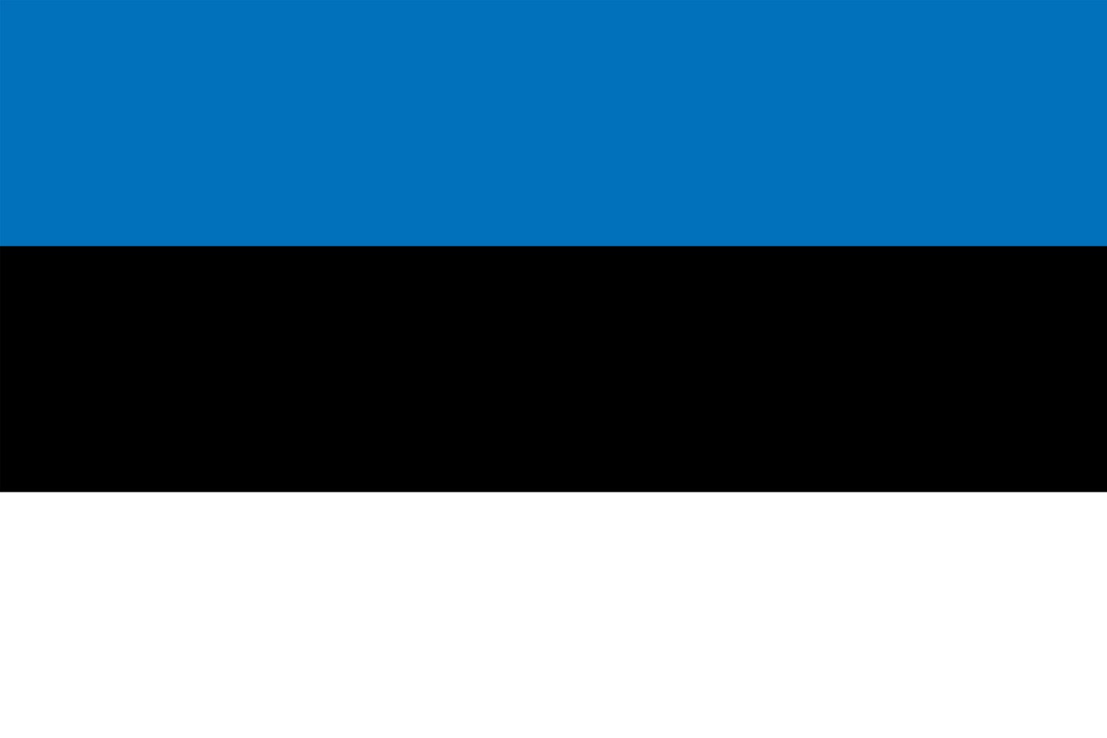 Estonian is the latest language in which the Charter of Road Traffic Victms' Rights is available